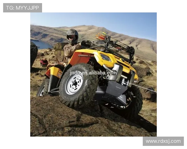 10款改装UTV 征战High Lifter Mud Nat